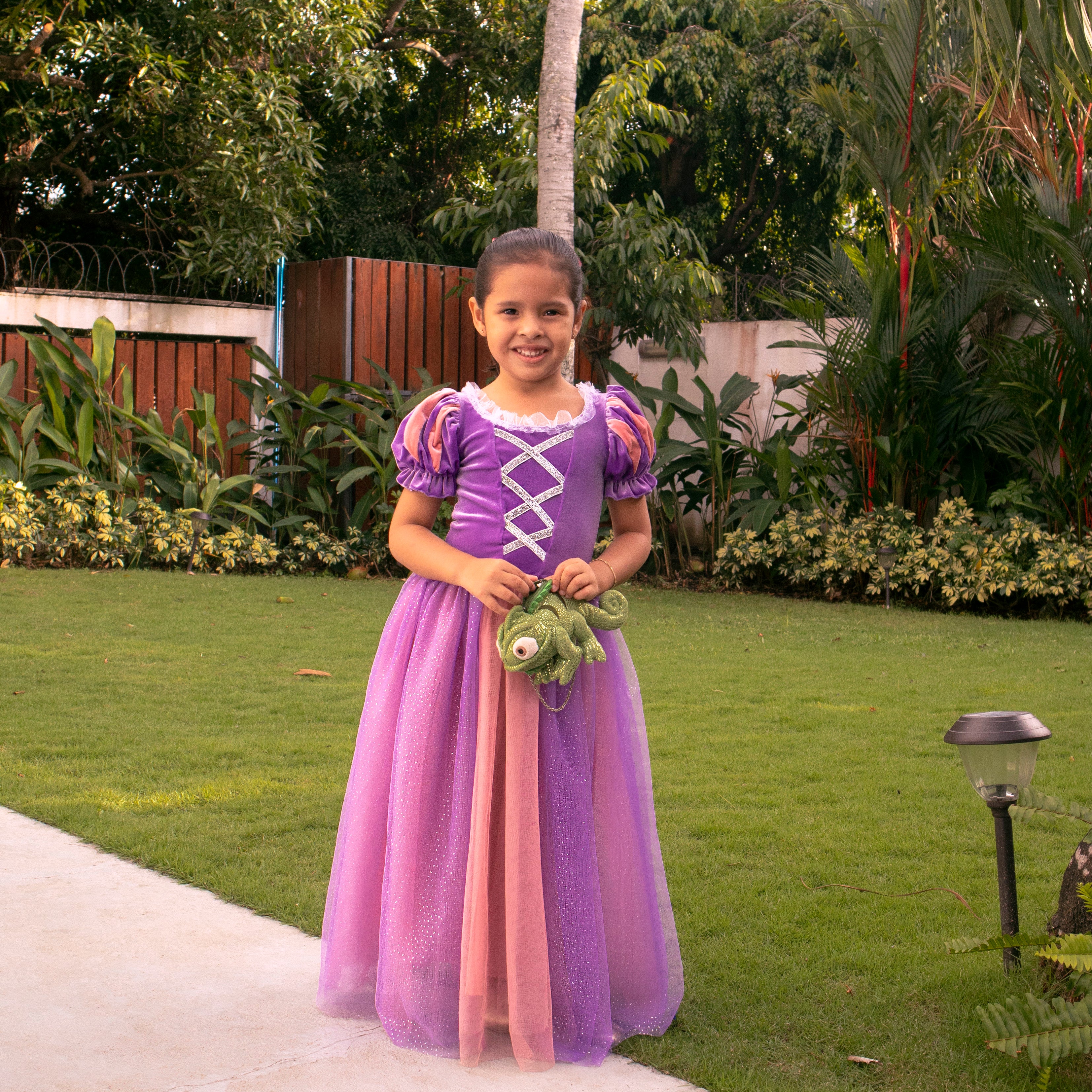 disney princess purple dress